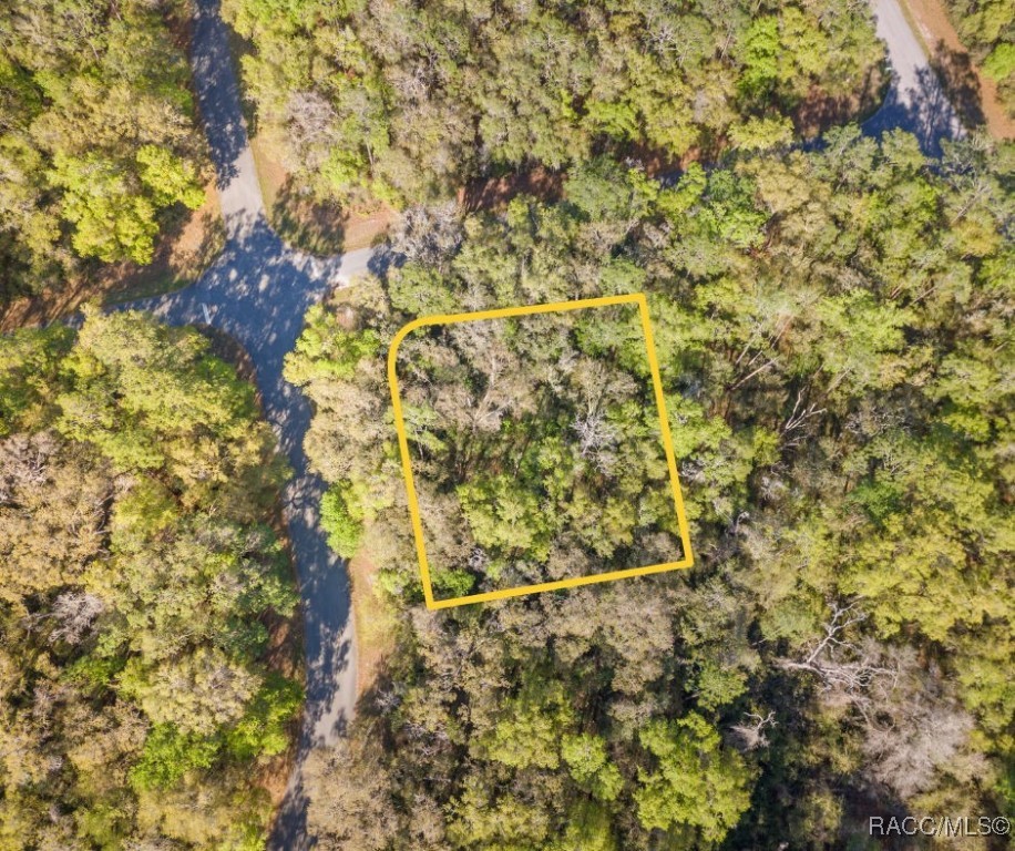 612 W Virginis Drive, Citrus Springs, Florida image 1
