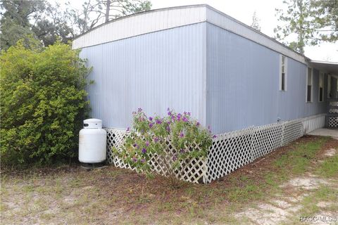 A home in Dunnellon