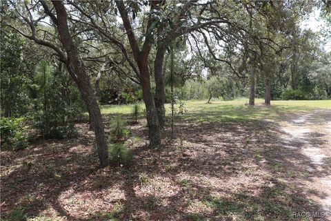 A home in Dunnellon