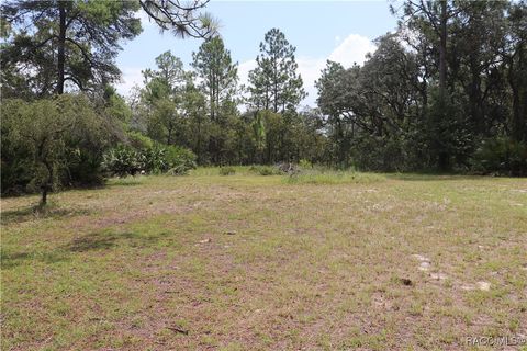 A home in Dunnellon