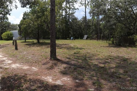 A home in Dunnellon