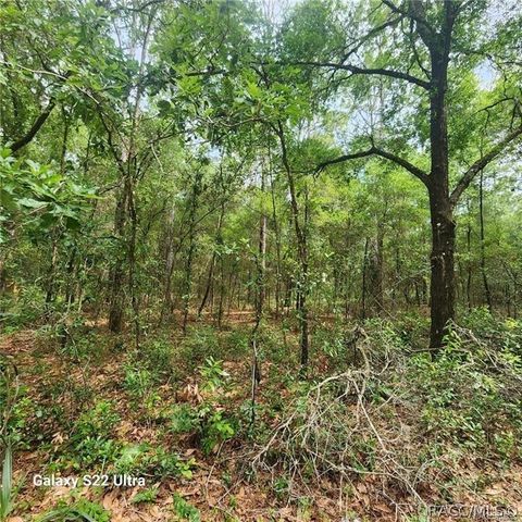 Vacant Land For Sale - 3172 E Kay Lane<br/> Citrus County, Inverness, FL 34453