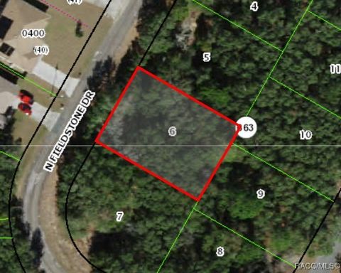 Vacant Land For Sale - 7855 N Fieldstone Drive<br/> Citrus Springs, FL 34433