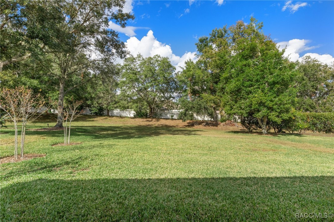 263 W Doerr Path, Hernando, Florida image 37