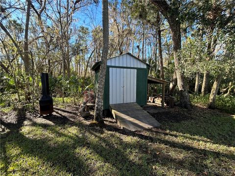 A home in Homosassa
