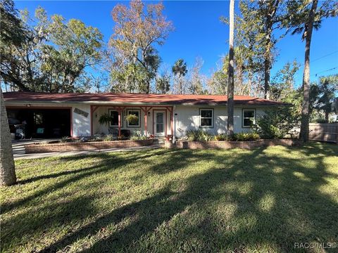 A home in Homosassa