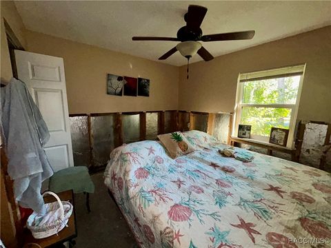A home in Homosassa