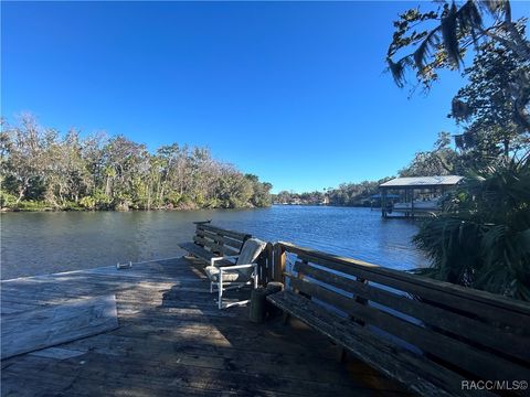 A home in Homosassa