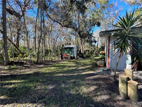 A home in Homosassa