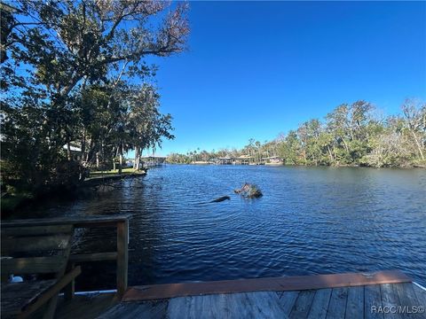 A home in Homosassa