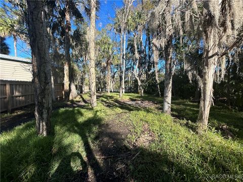 A home in Homosassa