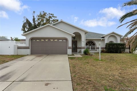 Homes For Sale - 9054 E Coker Creek Lane<br/> Inverness, FL 34450