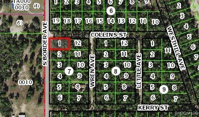 1443 S Border Avenue, Inverness, Florida image 2