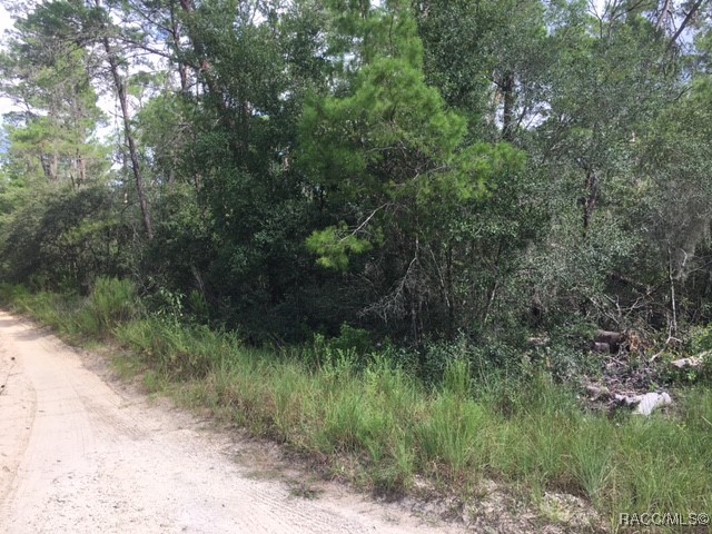 1443 S Border Avenue, Inverness, Florida image 7