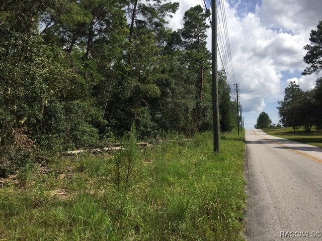 1443 S Border Avenue, Inverness, Florida image 5