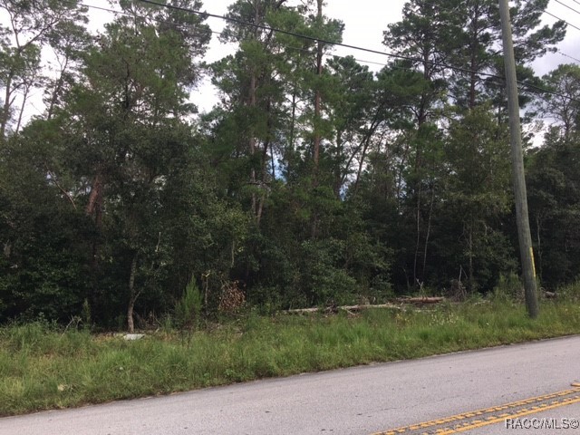 1443 S Border Avenue, Inverness, Florida image 3