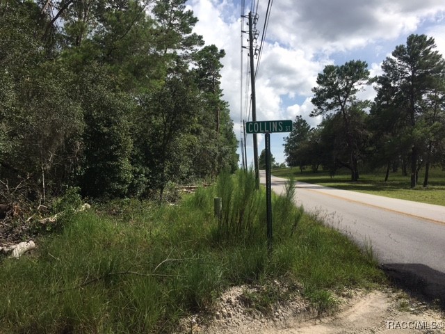 1443 S Border Avenue, Inverness, Florida image 6