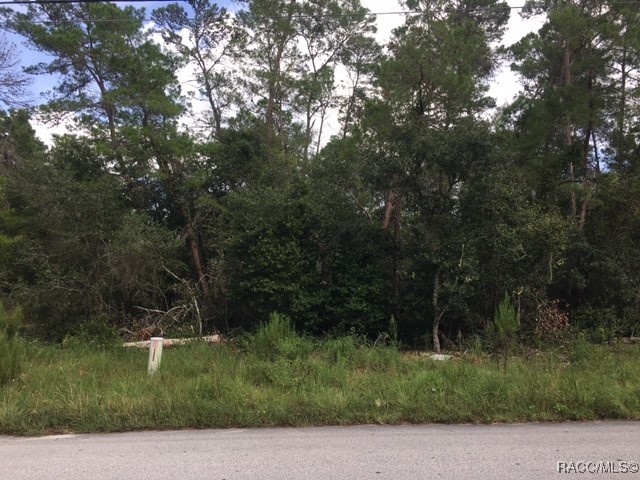 1443 S Border Avenue, Inverness, Florida image 4