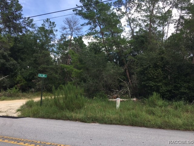 1443 S Border Avenue, Inverness, Florida image 1