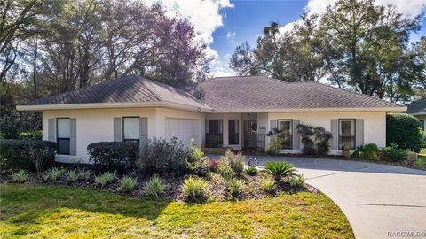 3356 N Bent Tree Point Lecanto FL 34461