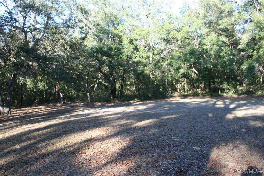 1155 E Bismark Street, Hernando, Florida image 3