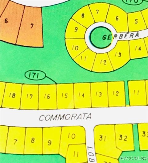 Vacant Land For Sale - 27 Oak Village Boulevard<br/> Homosassa, FL 34446