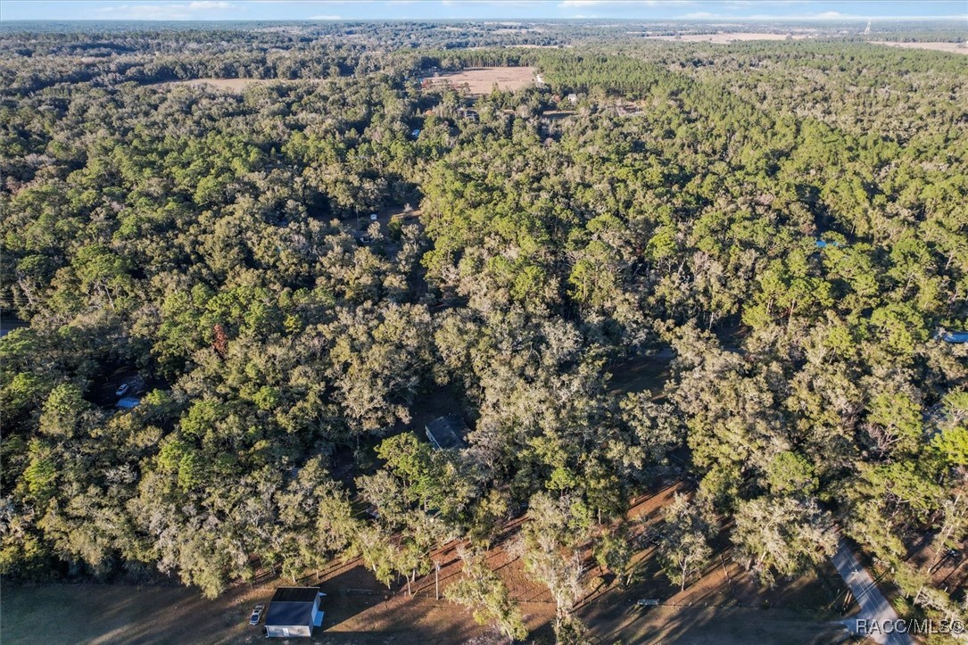 11910 S Ray Point, Floral City, Florida image 39