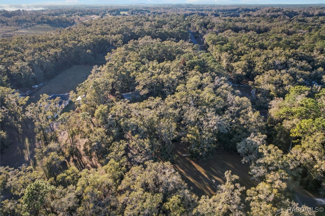 11910 S Ray Point, Floral City, Florida image 38