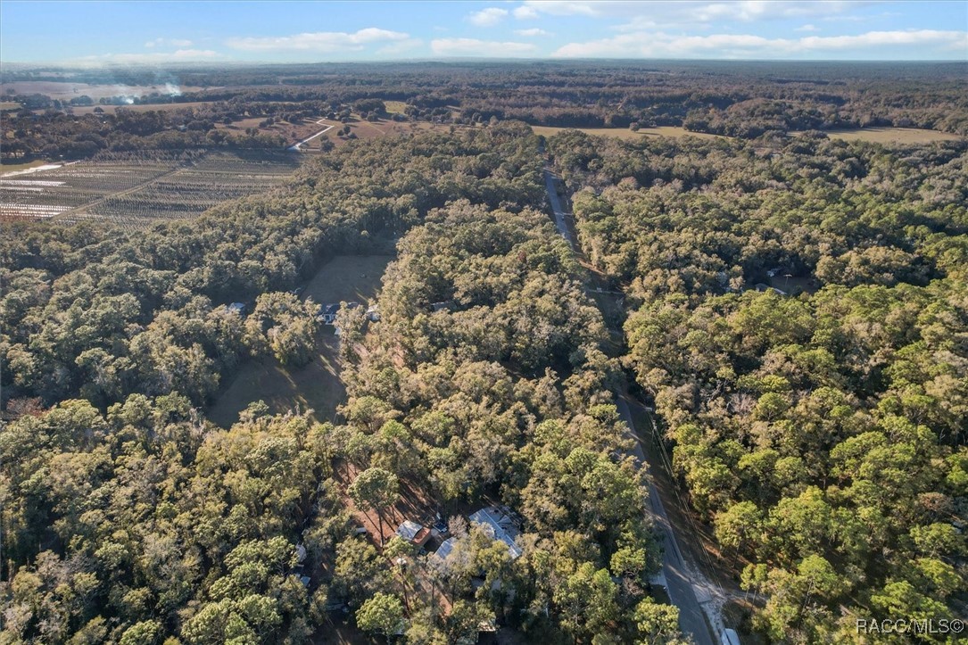 11910 S Ray Point, Floral City, Florida image 37