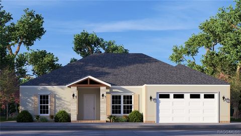 2733 S Bolton Avenue Homosassa FL 34448