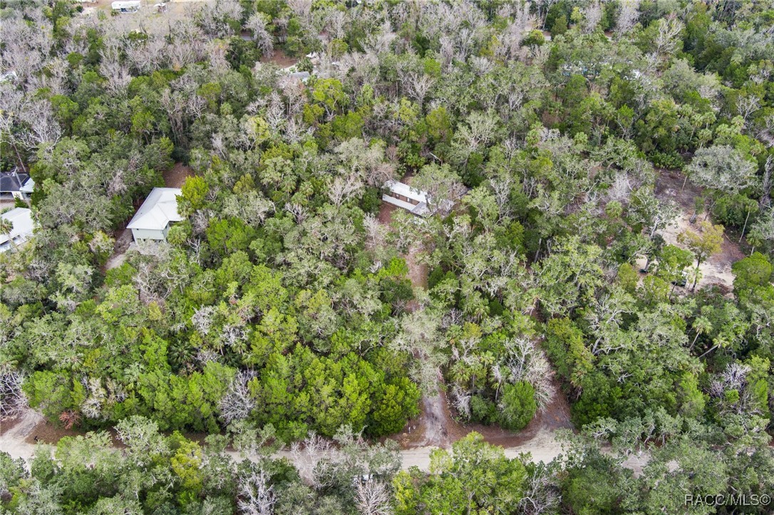 10969 W Grybek Drive, Homosassa, Florida image 31