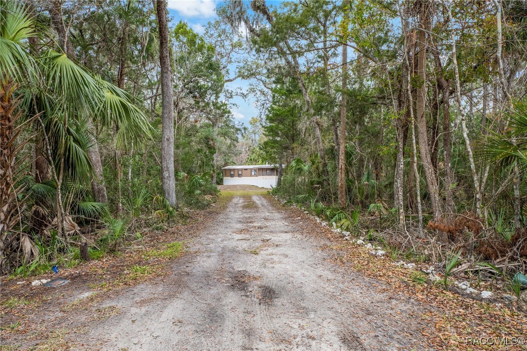 10969 W Grybek Drive, Homosassa, Florida image 1