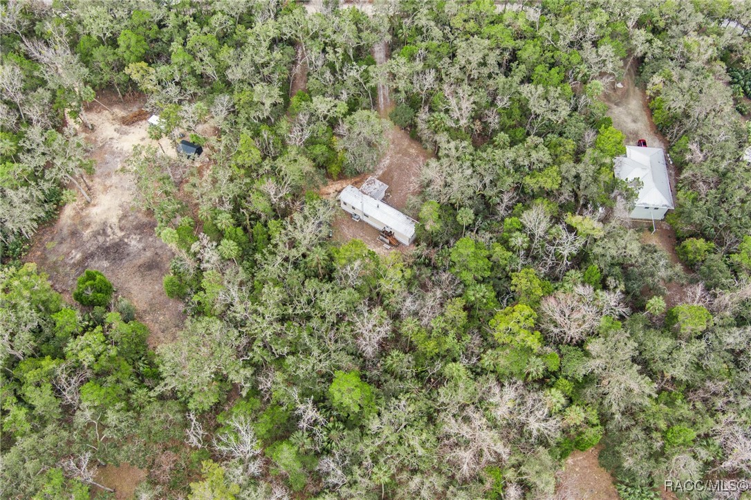 10969 W Grybek Drive, Homosassa, Florida image 32