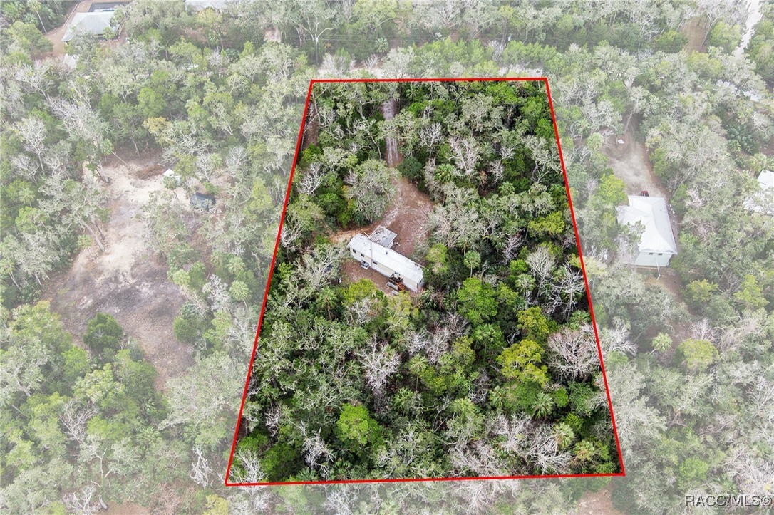 10969 W Grybek Drive, Homosassa, Florida image 30