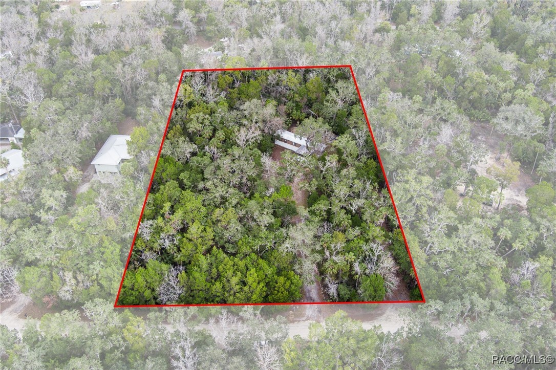 10969 W Grybek Drive, Homosassa, Florida image 34