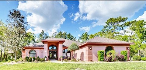 1 Dracaena Court Homosassa FL 34446