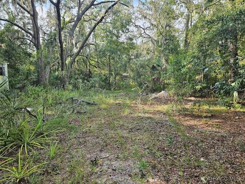 A home in Homosassa