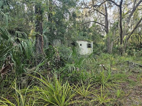 A home in Homosassa