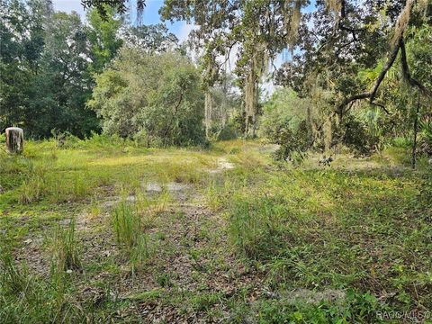 A home in Homosassa