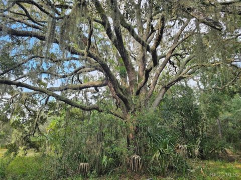 A home in Homosassa