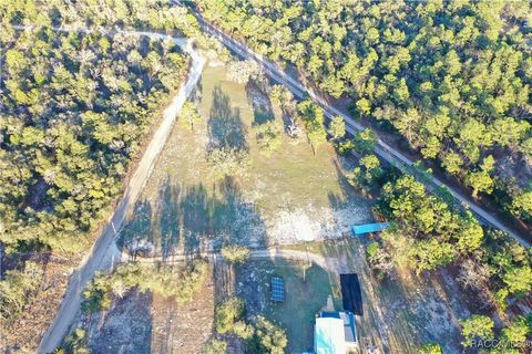 A home in Dunnellon