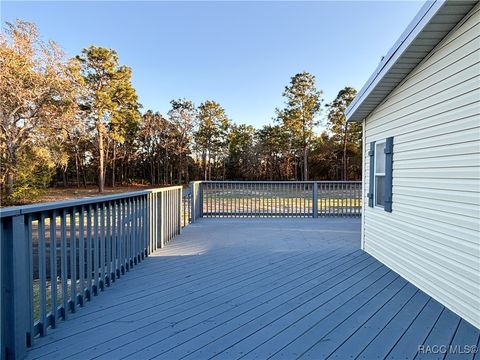 A home in Dunnellon