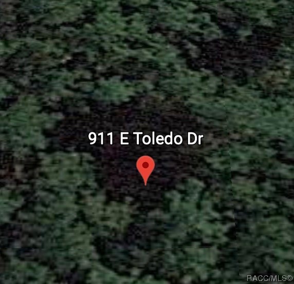 911 E Toledo Drive, Citrus Springs, Florida image 1