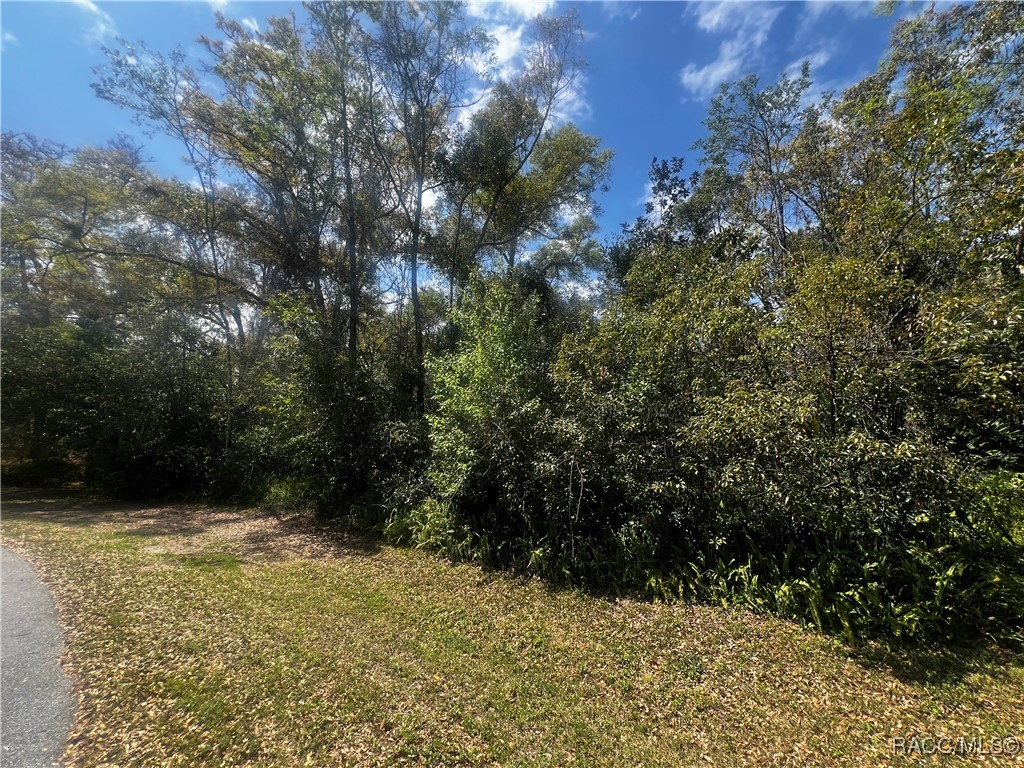 2232 W Tee Circle, Citrus Springs, Florida image 12