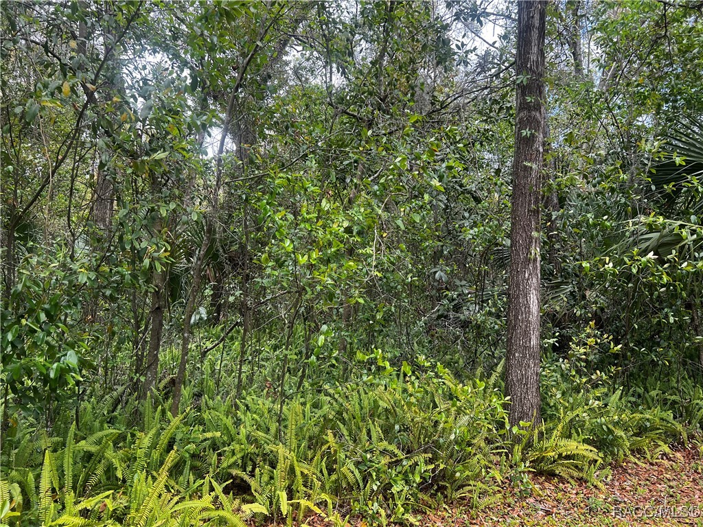 2232 W Tee Circle, Citrus Springs, Florida image 5