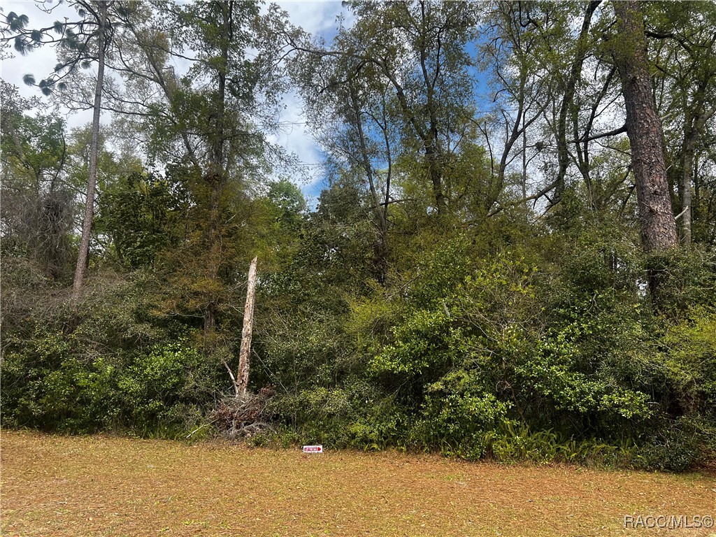 2232 W Tee Circle, Citrus Springs, Florida image 9