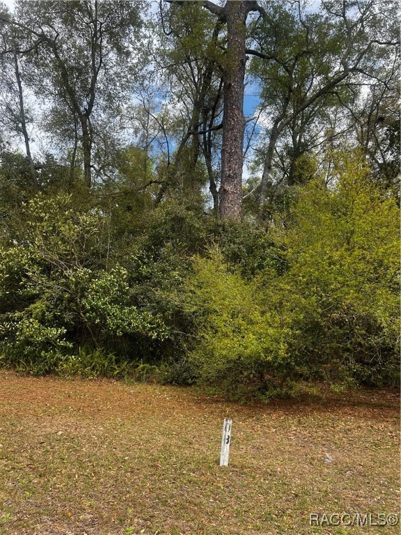 2232 W Tee Circle, Citrus Springs, Florida image 6