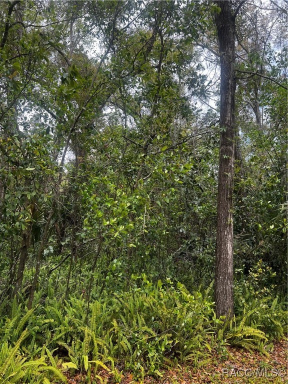 2232 W Tee Circle, Citrus Springs, Florida image 3