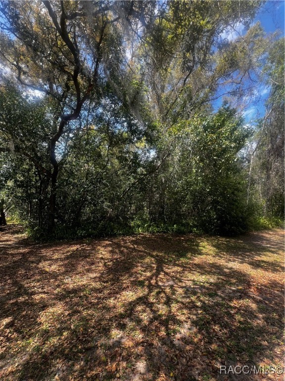 2232 W Tee Circle, Citrus Springs, Florida image 13