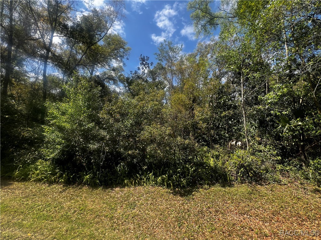 2232 W Tee Circle, Citrus Springs, Florida image 11